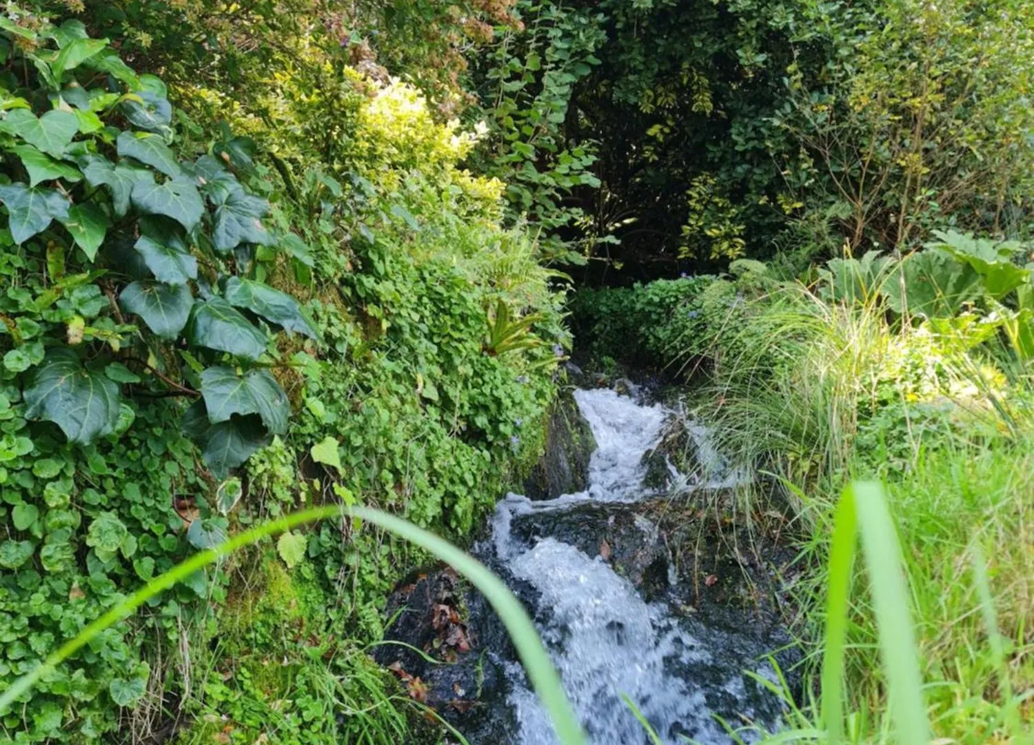 Moulin De Bonnescat Villa Plogonnec Holiday home